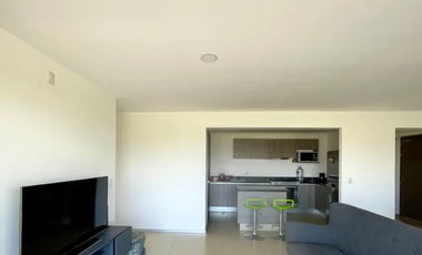 Departamento con Mega Terraza