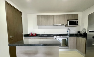 Departamento con Mega Terraza