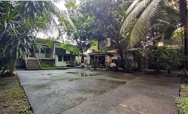 734 sqm residential lot in Barangay Plainview, Mandaluyong City for sale