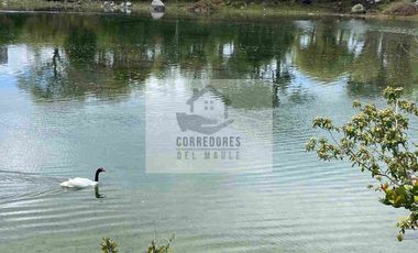 Se Vende Isla Privada: Isla Huelmo.