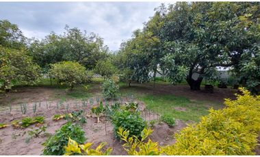 Vendo Quinta en el Quinche sector La Victoria 303 m2 de construcción. Con Piscina.