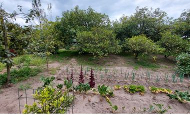 Vendo Quinta en el Quinche sector La Victoria 303 m2 de construcción. Con Piscina.