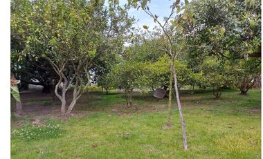 Vendo Quinta en el Quinche sector La Victoria 303 m2 de construcción. Con Piscina.