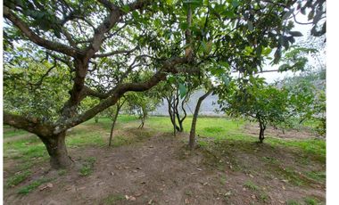 Vendo Quinta en el Quinche sector La Victoria 303 m2 de construcción. Con Piscina.