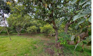 Vendo Quinta en el Quinche sector La Victoria 303 m2 de construcción. Con Piscina.