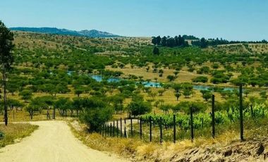 Vende Parcela en Marchigue - Rol Propio