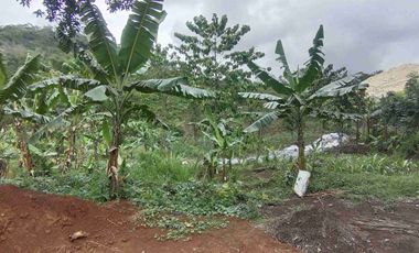 Jual Murah Tanah Darat Siap Bangun Pinggir Jln Raya Nasional Padalarang Cipatat