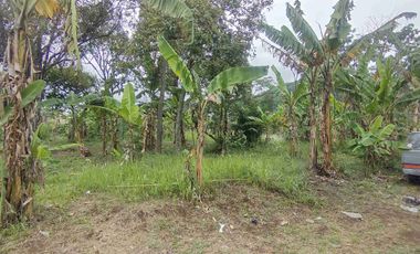 Jual Murah Tanah Darat Siap Bangun Pinggir Jln Raya Nasional Padalarang Cipatat