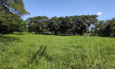 770 Sqm RESIDENTIAL LOT FOR SALE IN THE ORCHARD GOLF AND COUNTRY CLUB DASMARIÑAS CAVITE