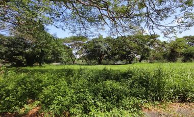 770 Sqm RESIDENTIAL LOT FOR SALE IN THE ORCHARD GOLF AND COUNTRY CLUB DASMARIÑAS CAVITE