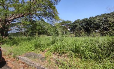 770 Sqm RESIDENTIAL LOT FOR SALE IN THE ORCHARD GOLF AND COUNTRY CLUB DASMARIÑAS CAVITE