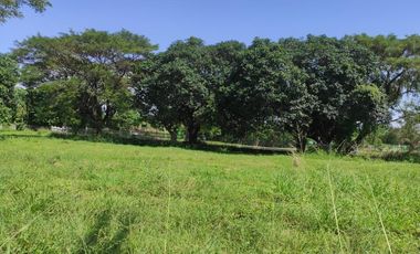 770 Sqm RESIDENTIAL LOT FOR SALE IN THE ORCHARD GOLF AND COUNTRY CLUB DASMARIÑAS CAVITE