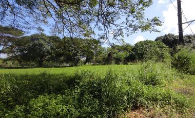 770 Sqm RESIDENTIAL LOT FOR SALE IN THE ORCHARD GOLF AND COUNTRY CLUB DASMARIÑAS CAVITE