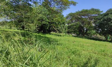 770 Sqm RESIDENTIAL LOT FOR SALE IN THE ORCHARD GOLF AND COUNTRY CLUB DASMARIÑAS CAVITE