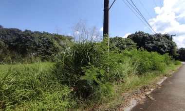 770 Sqm RESIDENTIAL LOT FOR SALE IN THE ORCHARD GOLF AND COUNTRY CLUB DASMARIÑAS CAVITE