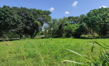 770 Sqm RESIDENTIAL LOT FOR SALE IN THE ORCHARD GOLF AND COUNTRY CLUB DASMARIÑAS CAVITE