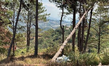 🌲 Prime Lot for Sale in Pula, Poblacion, Tuba! 🌲