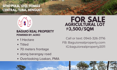 🌲 Prime Lot for Sale in Pula, Poblacion, Tuba! 🌲