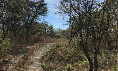 Terreno en venta de 1408m2 a 5 minutos de Tepoztlán, Edo. Morelos.