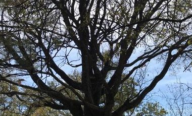 Terreno en venta de 1408m2 a 5 minutos de Tepoztlán, Edo. Morelos.