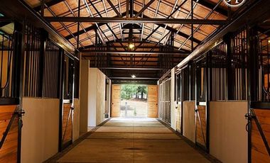 Terreno en Venta, Rancho San Francisco Tapalpa