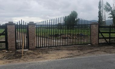 PROYECTO RAÍCES DE RAPEL - LANZAMIENTO EXCLUSIVO