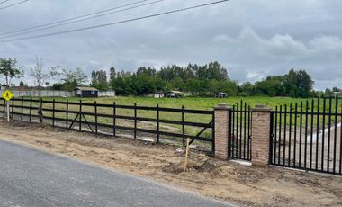 PROYECTO RAÍCES DE RAPEL - LANZAMIENTO EXCLUSIVO
