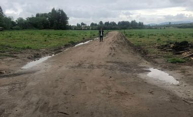 PROYECTO RAÍCES DE RAPEL - LANZAMIENTO EXCLUSIVO