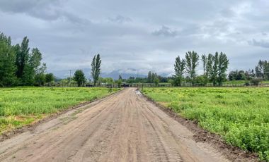 PROYECTO RAÍCES DE RAPEL - LANZAMIENTO EXCLUSIVO