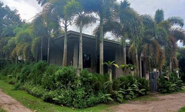 HOUSE AND LOT FOR SALE IN DUMAGUETE CITY ID 14924