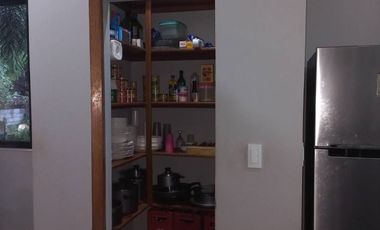 HOUSE AND LOT FOR SALE IN DUMAGUETE CITY ID 14924