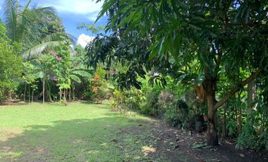 HOUSE AND LOT FOR SALE IN DUMAGUETE CITY ID 14924