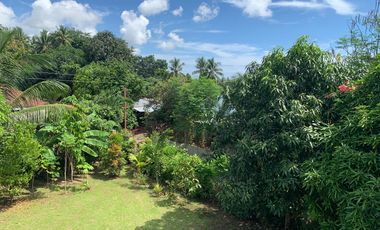 HOUSE AND LOT FOR SALE IN DUMAGUETE CITY ID 14924