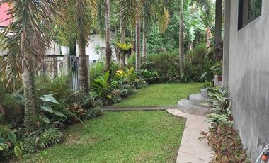HOUSE AND LOT FOR SALE IN DUMAGUETE CITY ID 14924