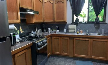 HOUSE AND LOT FOR SALE IN DUMAGUETE CITY ID 14924