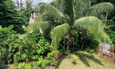HOUSE AND LOT FOR SALE IN DUMAGUETE CITY ID 14924