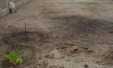 Se Vende Casa En Estreno 353 M2 En Casa Blanca Cerca A La Panamericana Sur