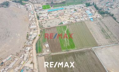 Venta De Terreno Agrícola: Ideal Para Inversores Y Agricultores