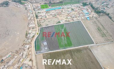 Venta De Terreno Agrícola: Ideal Para Inversores Y Agricultores