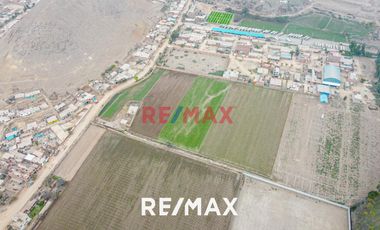 Venta De Terreno Agrícola: Ideal Para Inversores Y Agricultores