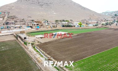 Venta De Terreno Agrícola: Ideal Para Inversores Y Agricultores