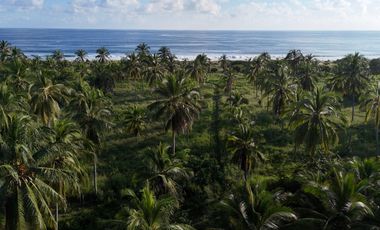 Terreno Frente al Mar cerca de Casa Wabi