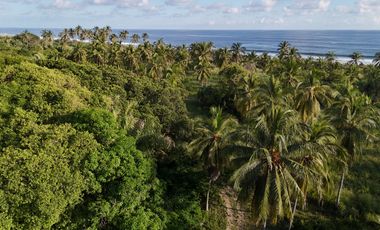Terreno Frente al Mar cerca de Casa Wabi