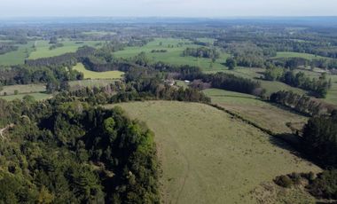 Desarrolla tu proyecto en un campo subdividido de 80 hectáreas cercano al lago Colico