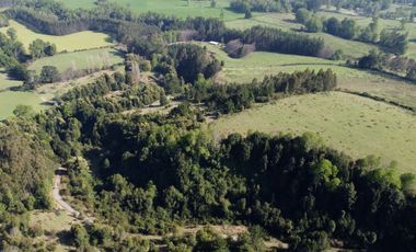 Desarrolla tu proyecto en un campo subdividido de 80 hectáreas cercano al lago Colico