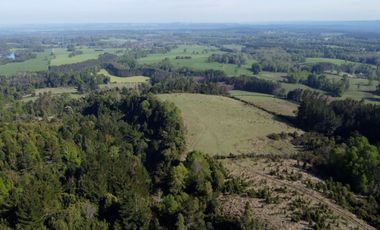 Desarrolla tu proyecto en un campo subdividido de 80 hectáreas cercano al lago Colico