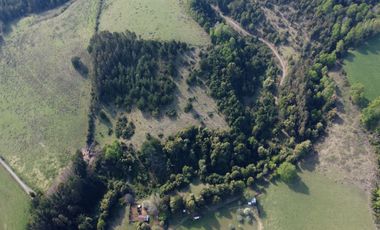 Desarrolla tu proyecto en un campo subdividido de 80 hectáreas cercano al lago Colico