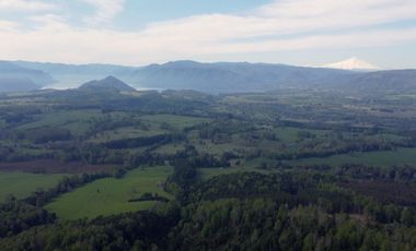 Desarrolla tu proyecto en un campo subdividido de 80 hectáreas cercano al lago Colico