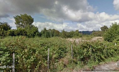 Parcela 5.000 mt2 Sector Las Gaviotas UF2.950.-