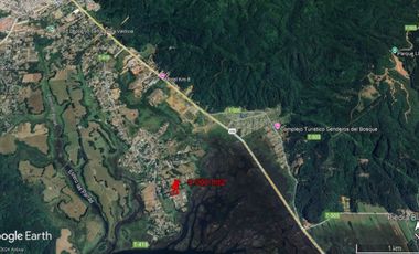 Parcela 5.000 mt2 Sector Las Gaviotas UF2.950.-
